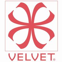 Velvet Eyewear coupons
